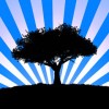 all_css3 all_css3