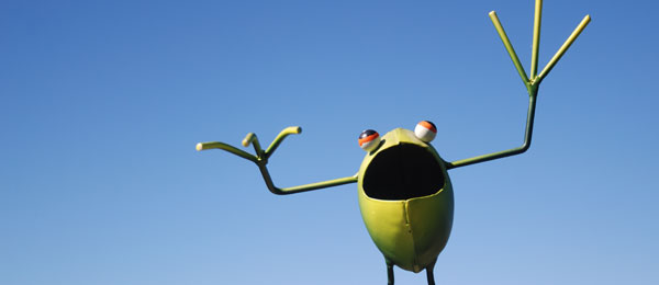 froggy_new