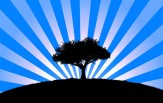 bluetree