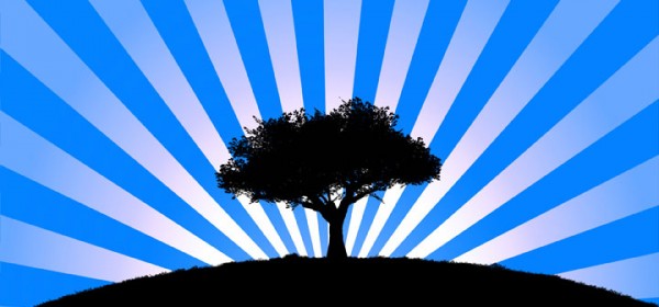 bluetree